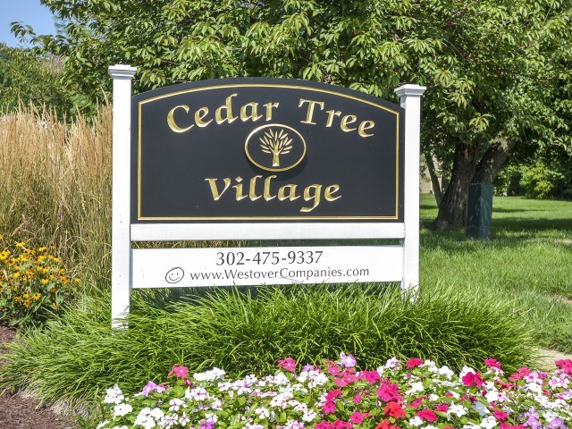 Cedar Tree Apartments Image 1