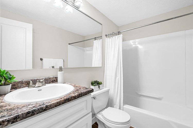 Modern style bathrooms featuring large mirrors.