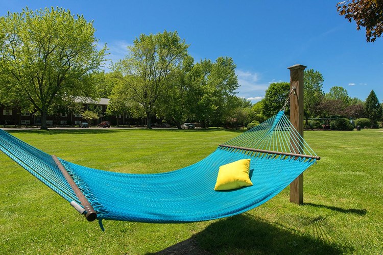 Lay out and soak in the sun in one of our several hammock gardens.
