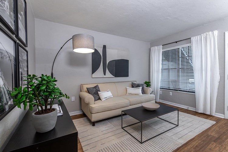 Each apartment home at Ridgemar Commons has a spacious living area, perfect for lounging in after a long day.