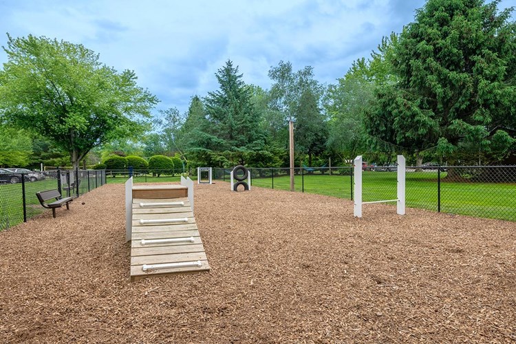 Sugarloaf Estates offers pet friendly apartments in Sunderland and even have an off-leash dog park right in our community!