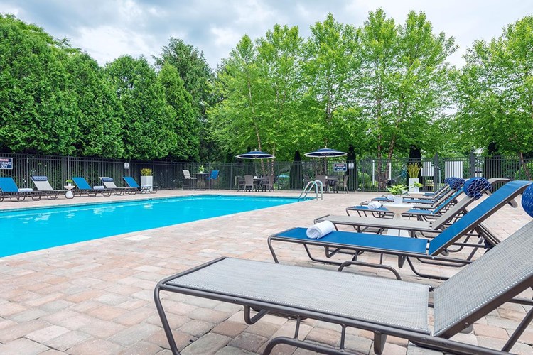 Enjoy a refreshing swim at our sparkling swimming pool.