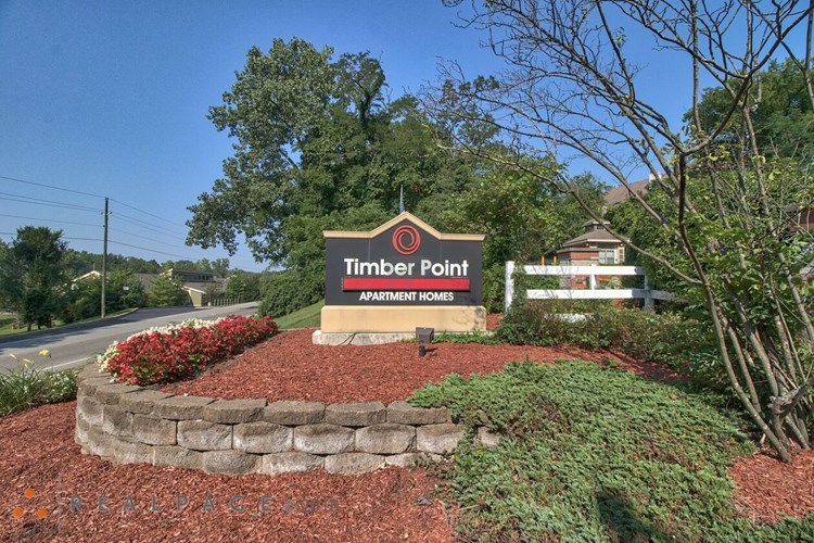 Timber Point Image 2