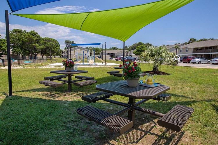 Enjoy a picnic in our picnic area complete with grills and hammocks.