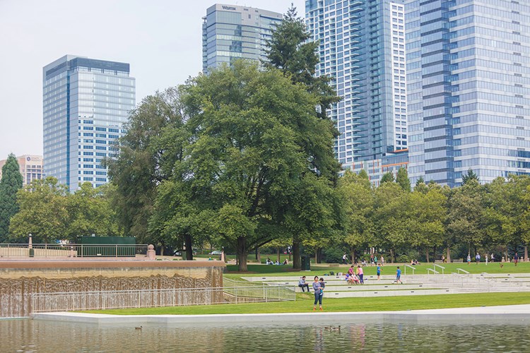 Even in the heart of Bellevue, Lux is close to beautiful green-spaces like the Downtown Bellevue Park and Lake Washington. 