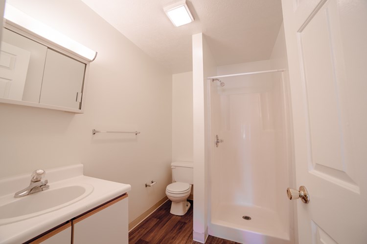 Bathroom in 3 Bed- 2 Bath Apartment