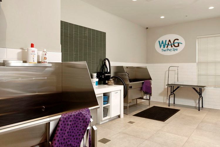 WAG pet spa with bathing area and grooming equipment