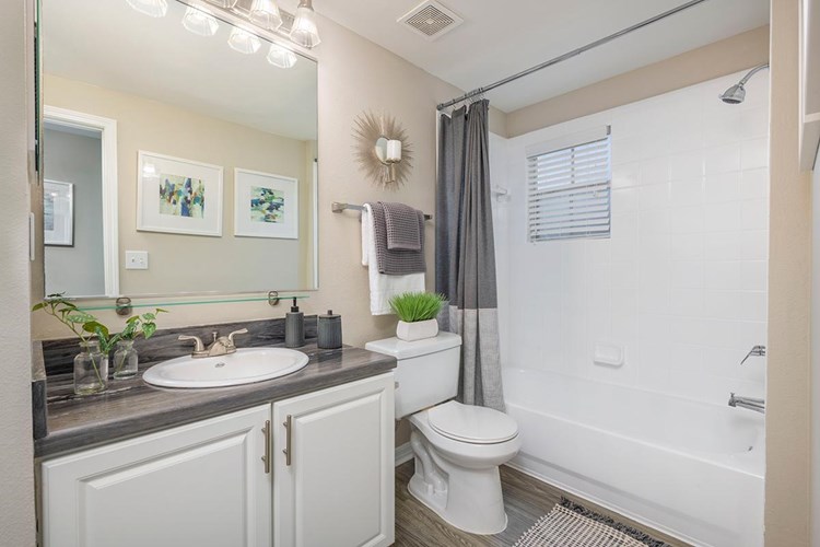 Updated bathrooms with updated counter tops, wood-style flooring, and large mirrors.