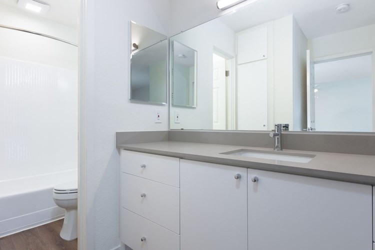 Renovated Package I bath with quartz countertop and hard surface flooring