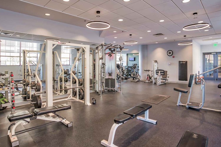 Large fitness center with dedicated weight area