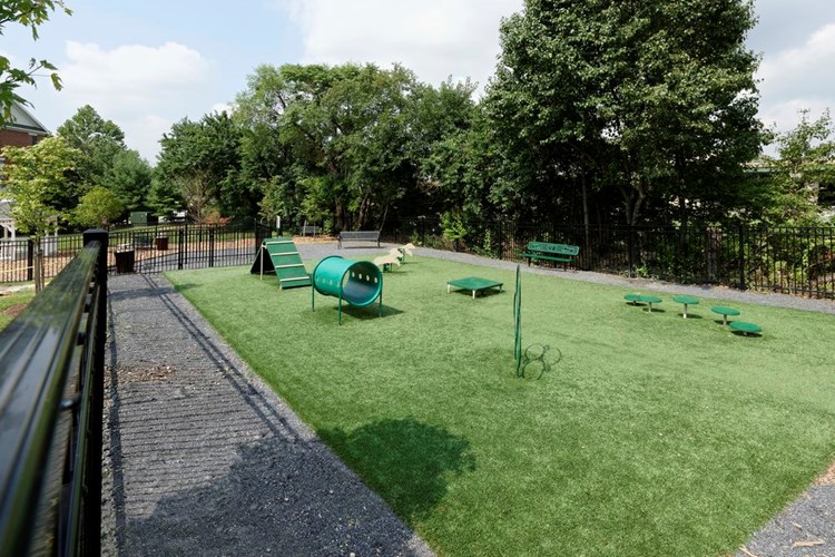WAG Pet Park with exercise equipment and relief space