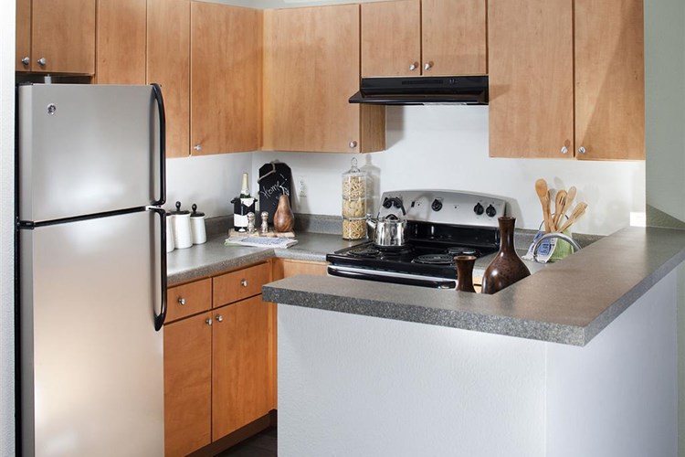 Modern kitchens with sleek black &amp; silver appliances