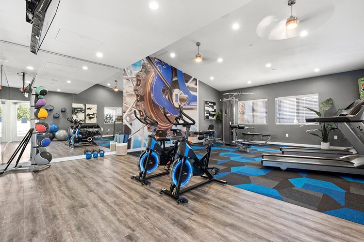 Our state-of-the-art fitness center featuring all the cardio and weight training equipment you need for a full body workout.