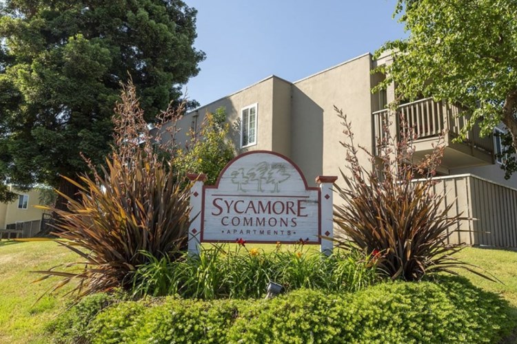 Sycamore Commons Apartments Image 2