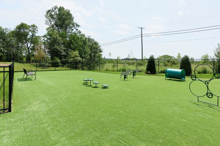 WAG pet park with exercise and training equipment and relief area