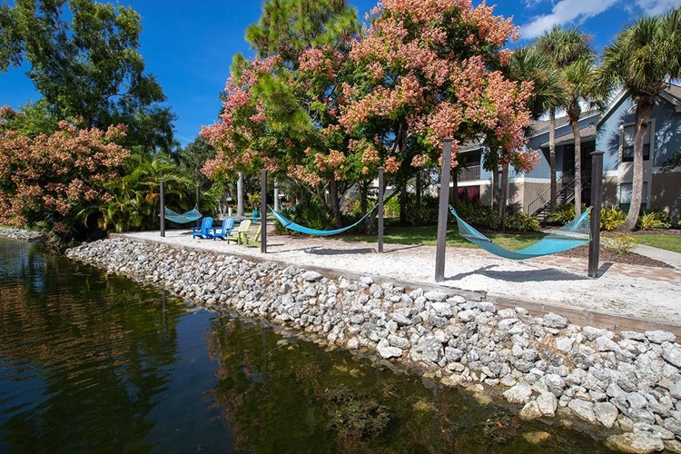 Lay out in one of our lakeside hammocks.