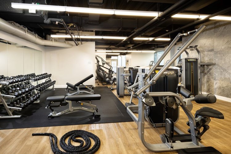 State-of-the-art fitness center with strength equipment