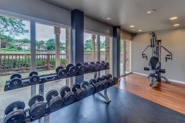 Fitness center is equipped with free weights and cable resistance machines