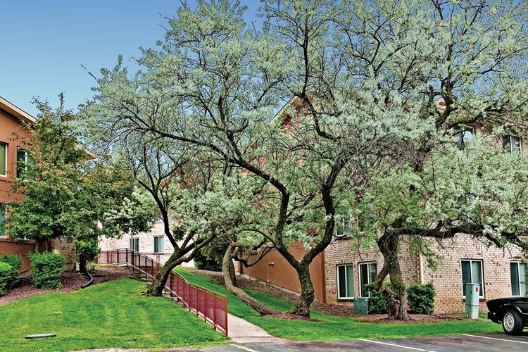 Mature trees and landscaped grounds
