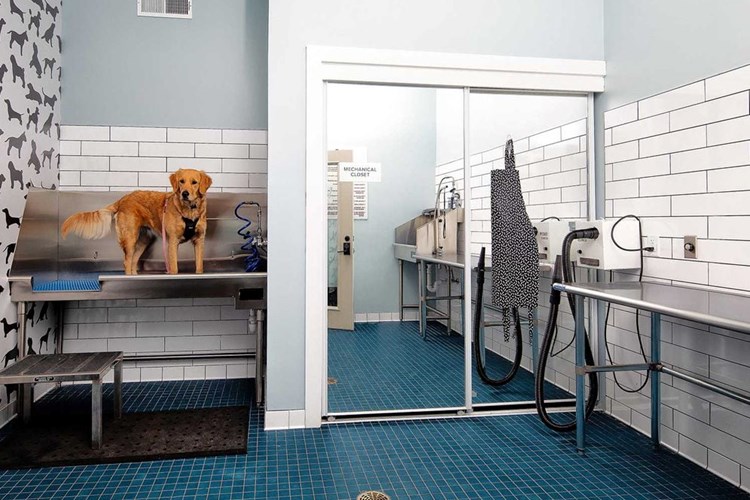 Pet-friendly community with WAG Pet Spa