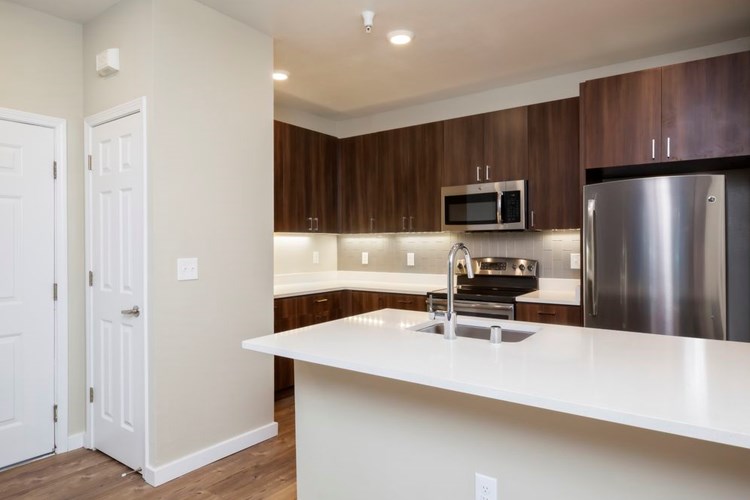 Premier Collection Kitchen with Quartz Countertops Walnut Cabinetry and Stainless Appliances