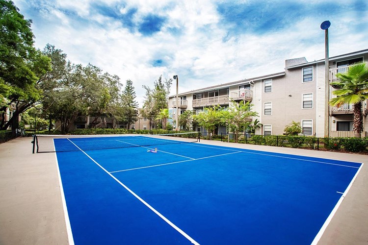 Play a game on our regulation sized tennis court.
