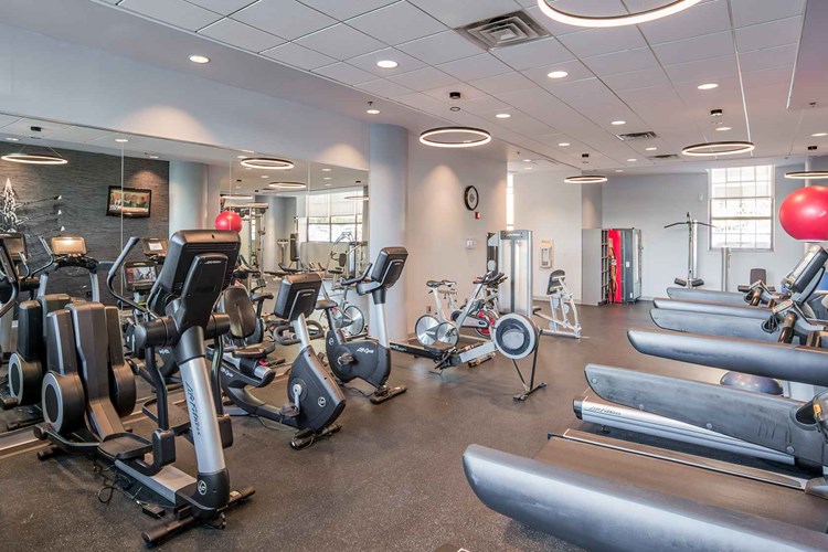 Ample cardio machines for your best workout