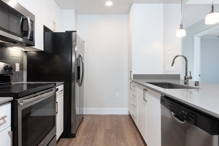 Renovated Phase I kitchen with stainless steel appliances and hard surface flooring