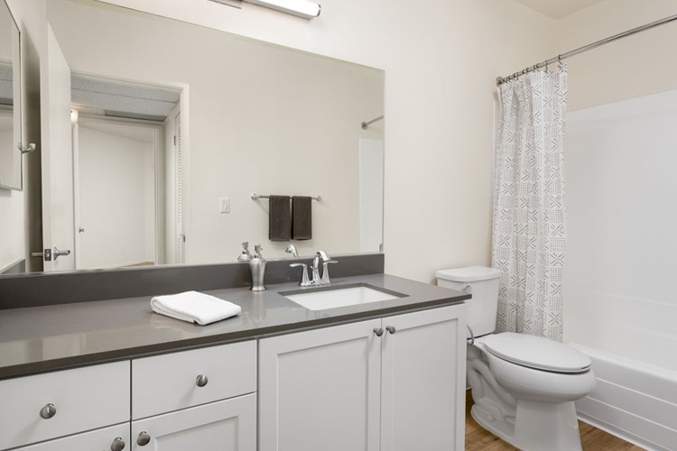 Renovated Bath with Quartz Countertop Hard Surface Flooring and Upgraded Fixtures