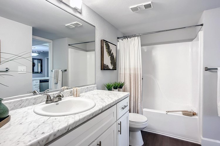 Master bathrooms featuring plank flooring, marble-style countertops, and large mirrors.