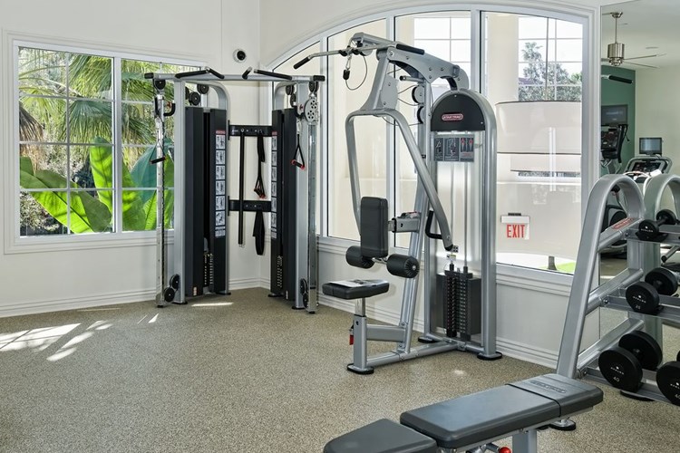 Fitness Center with Strength Equipment