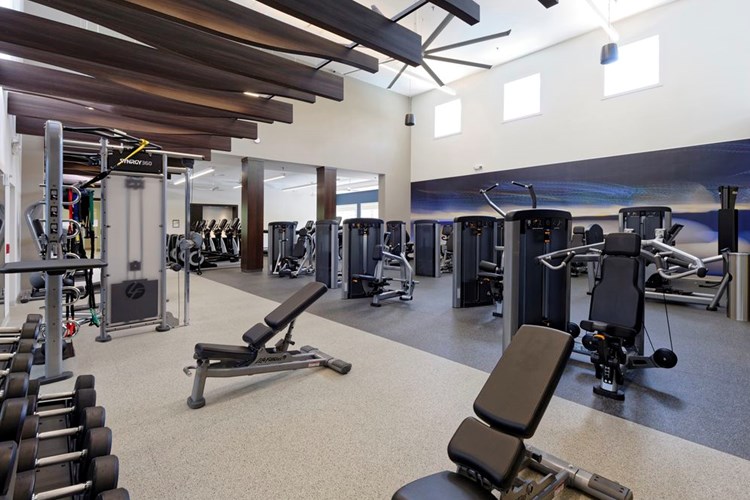 Fitness Center with strength equipment