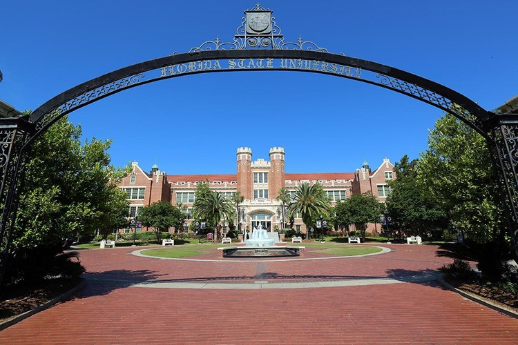 We are located just minutes away from Florida State University, home of the Seminoles!