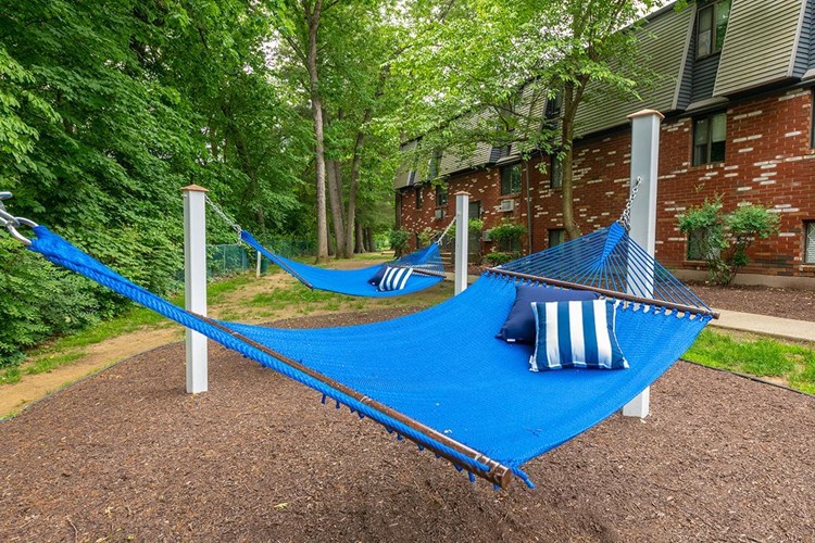 Lay out and soak in the sun at our hammock garden.