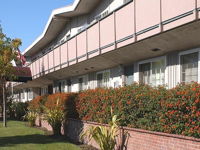 Amador Apartments Image 4