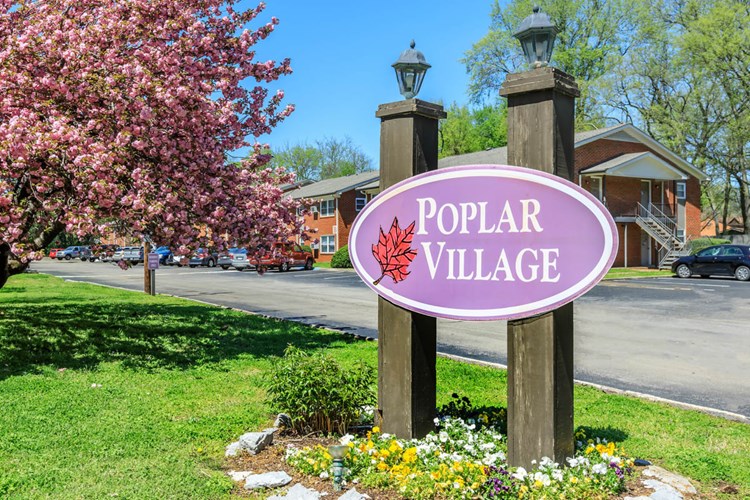 Poplar Village Image 1