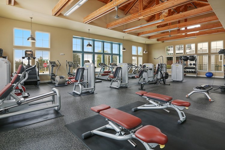 Fitness center includes free weights, cardio and resistance machines