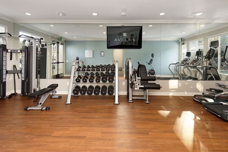 Fitness Center With Cardio And Strength Equipment