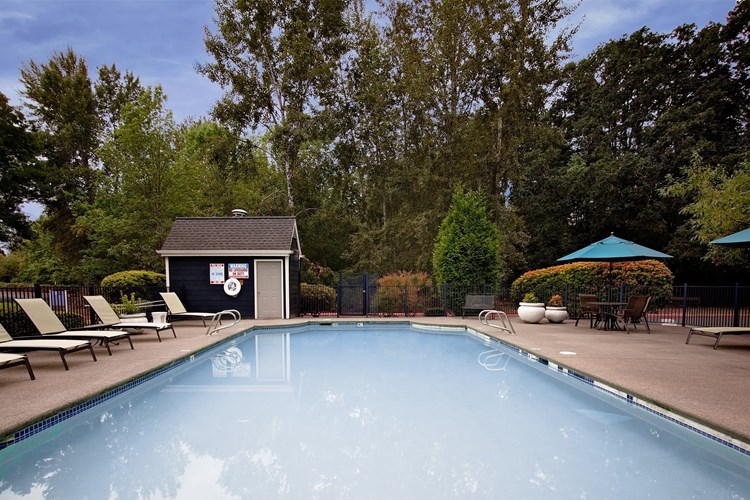 Clermont Apartments | Seasonal Swimming Pool