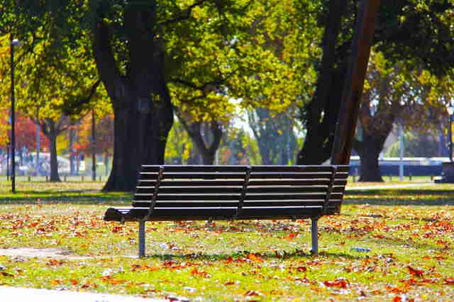 Bench in the Park