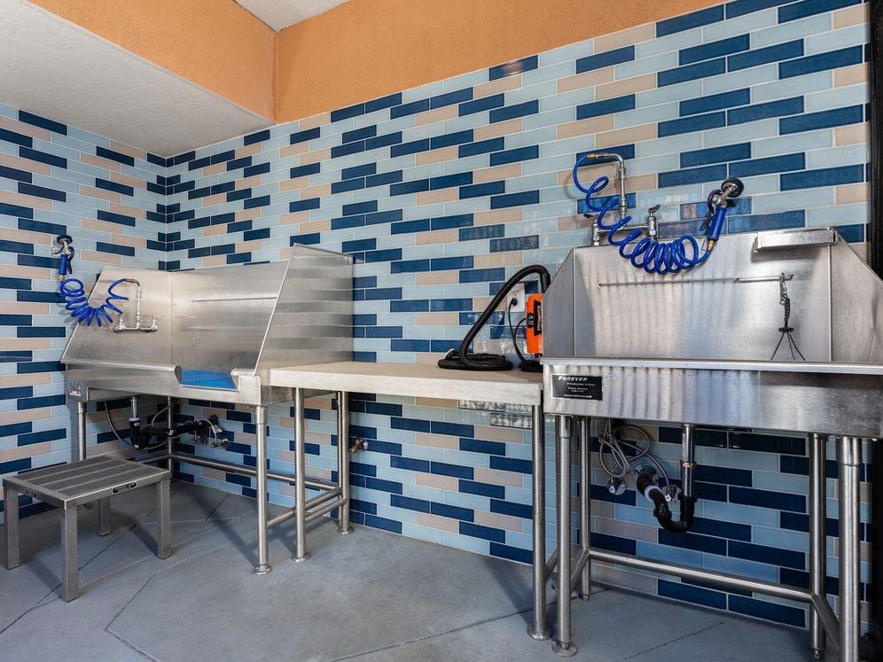 WAG Pet Spa with washing and drying stations