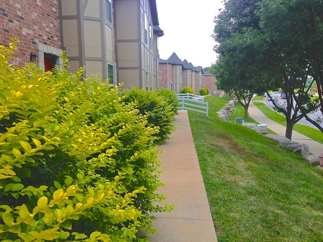 Windsor Townhomes Image 14