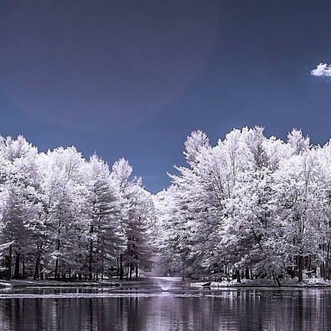 Hollandale Apartments Image 3