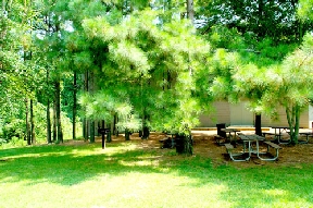 Smith Properties Image 11