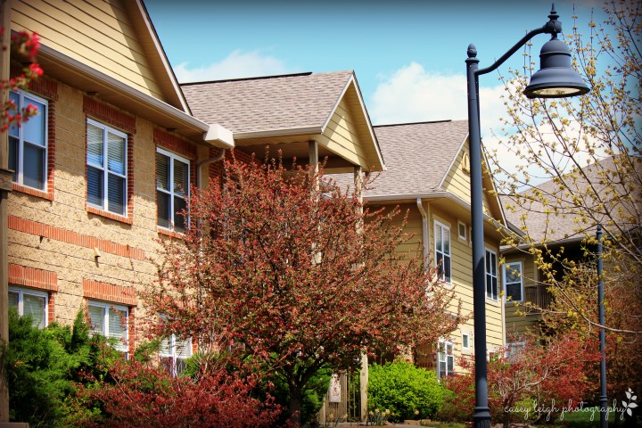 The Grove at Latimer Image 1