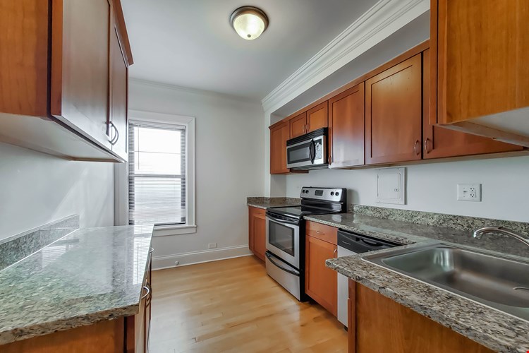 The Patricians Image 31