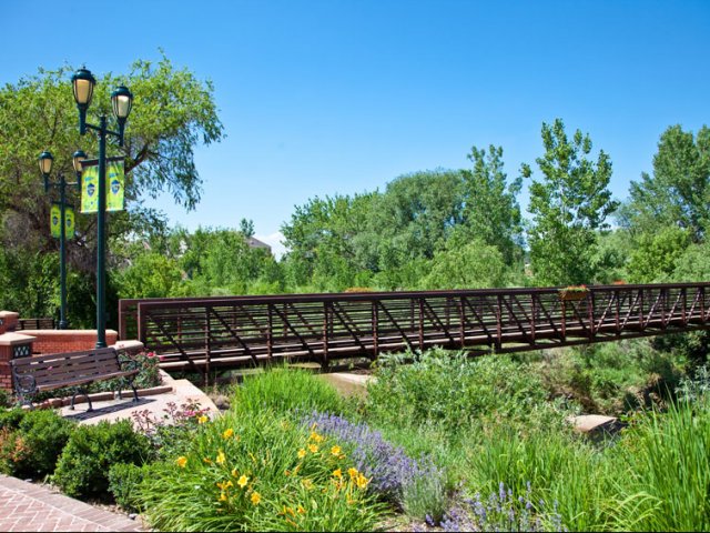 4550 Cherry Creek Image 9