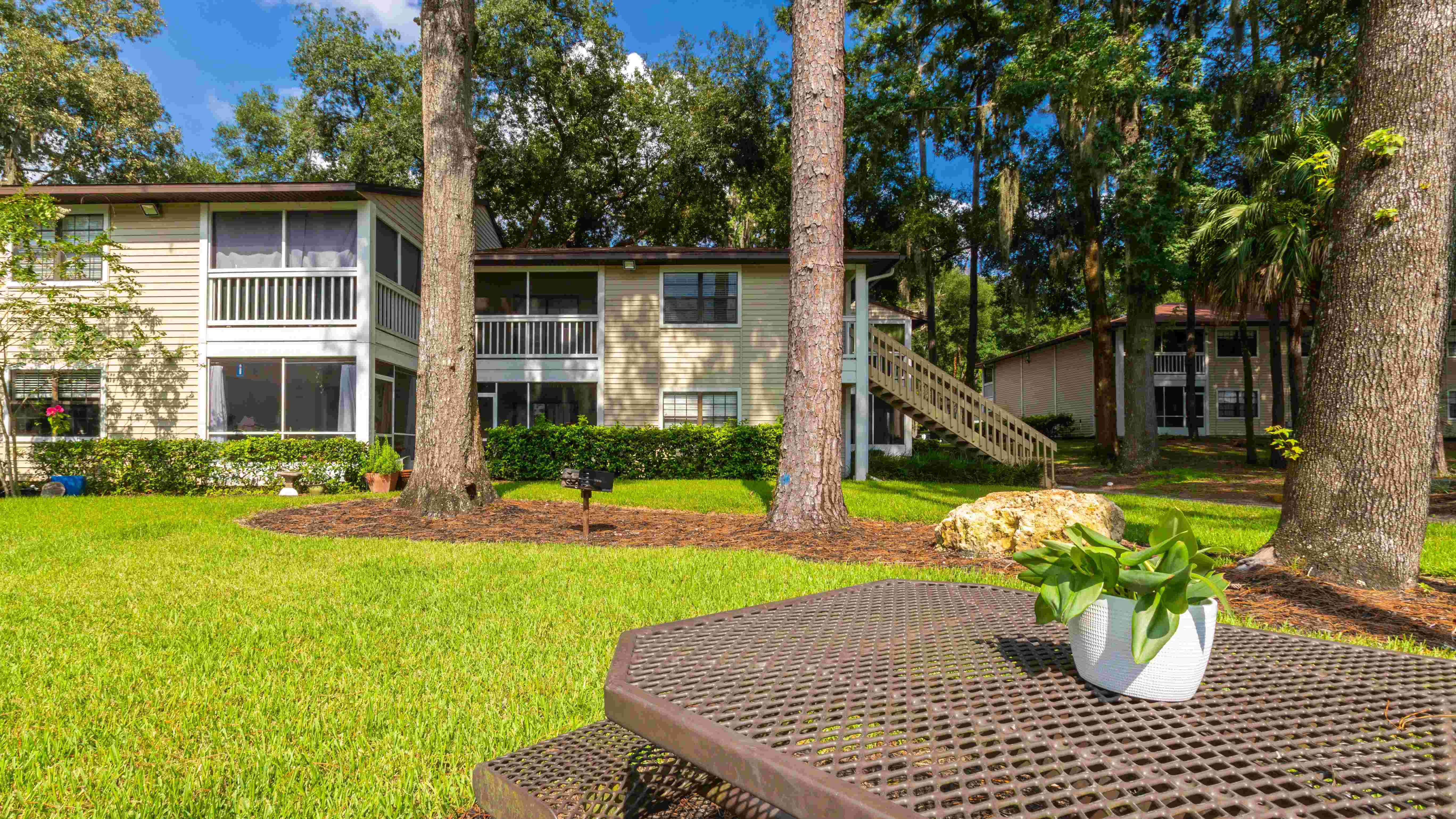 Have a delightful picnic with family at our lovely picnic area, surrounded by lush green grass and shading pine trees. 
