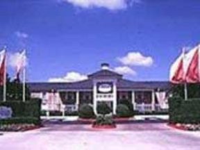 Savannah Image 1