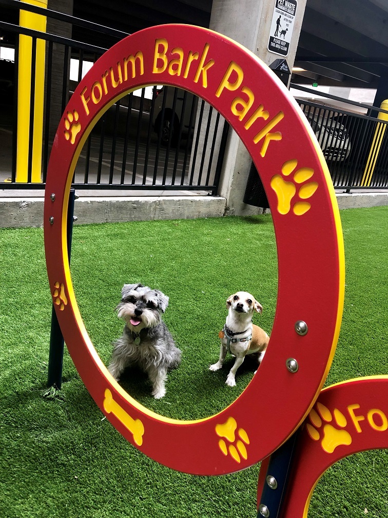 The Forum at Fitzsimons Image 32